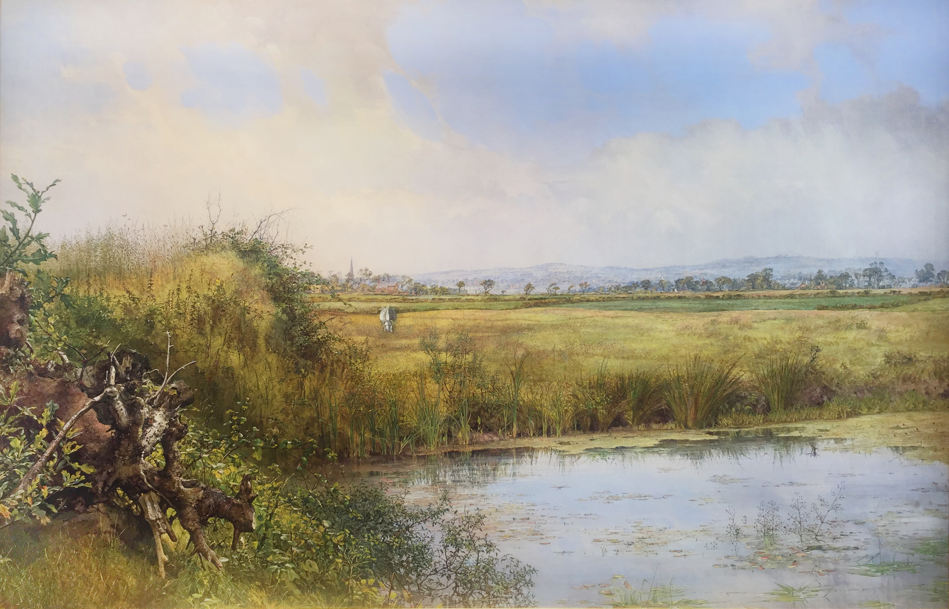 View near Sefton